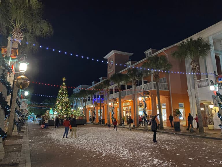 Professionally wrapped trees and landscape holiday lighting