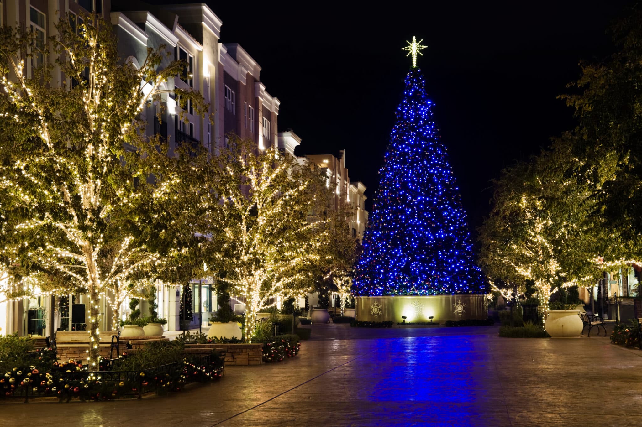 Atmospheric holiday glow and warm winter lighting display